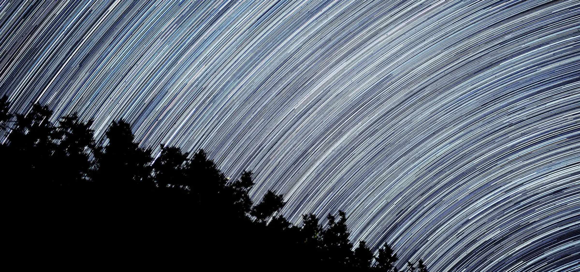 Star trails curving over a dark sky, with the black outline of a tree at the lower left